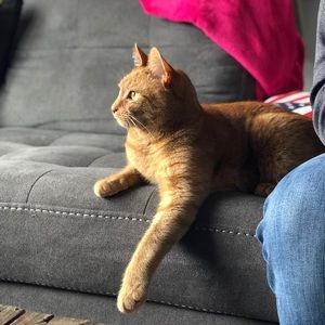 Meet your Posher, Molly